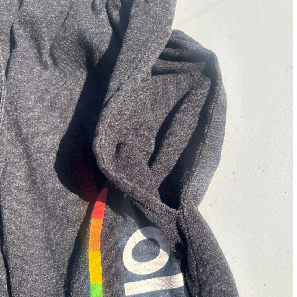 Polaroid Photography Lounge Shorts Mens Small Charcoal Gray Rainbow Graphic